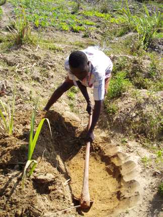 Digging in the Dambo Valley for Gold (aka yellow soil) Digging in the Dambo Valley for Gold (aka yellow soil)