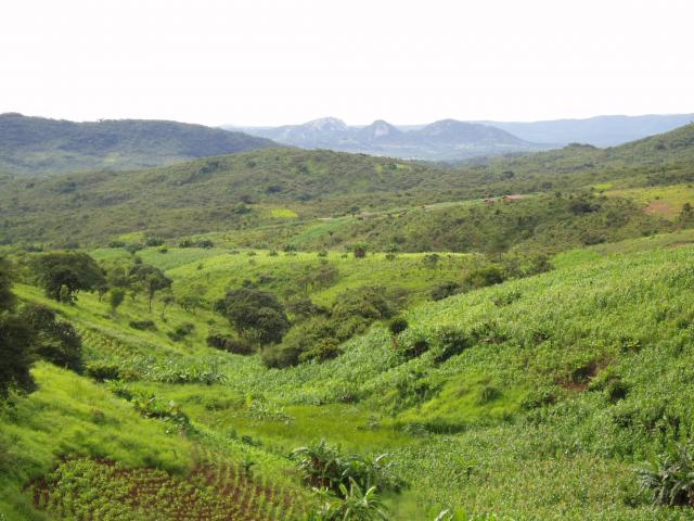 On the M1 to Mzuzu